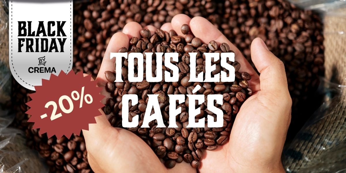 Café La Mocca Espresso 50 capsules compatibles Nespresso acheter à prix  réduit