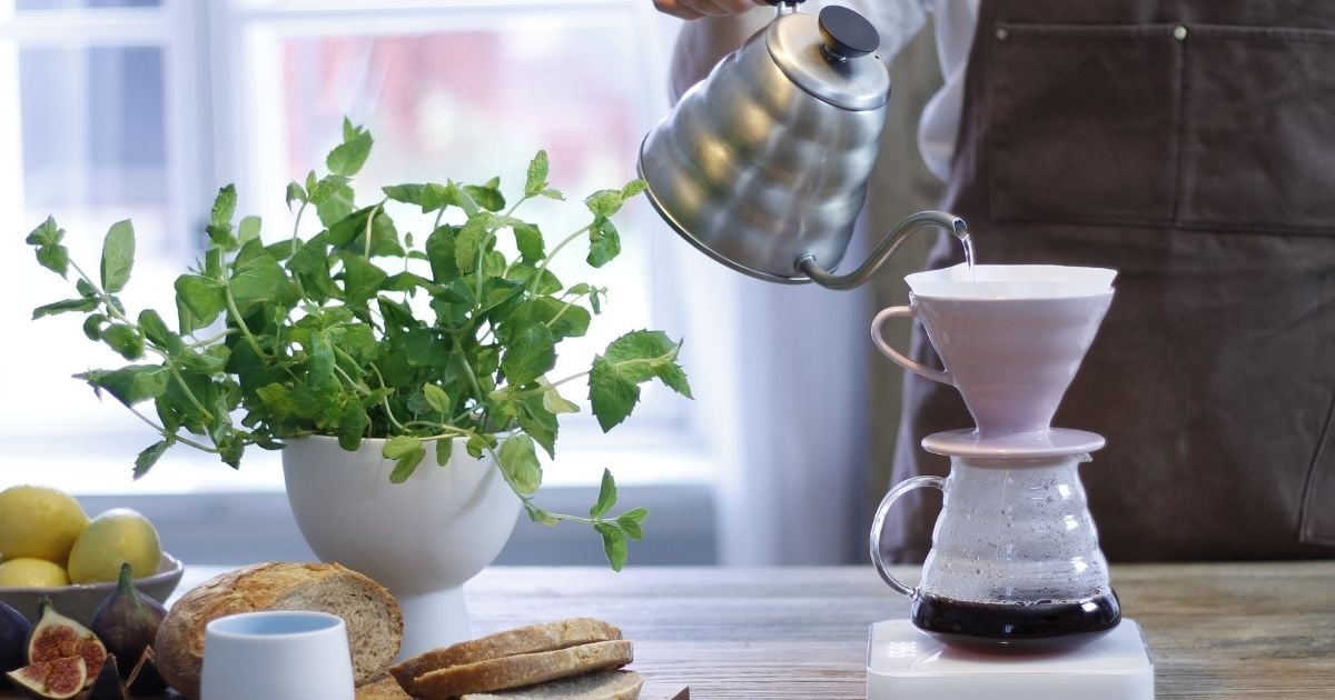 Un café parfait avec la cafetière à verser Hario V60