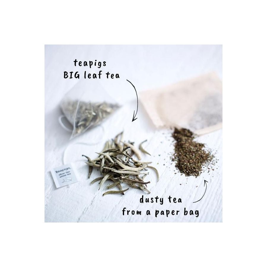 Silver Tea Tips Packet Teapigs Silver Tips White Tea 15 Tea Bags - Crema