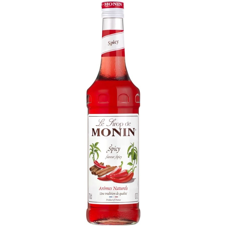 Monin Spicy Syrup 700 ml