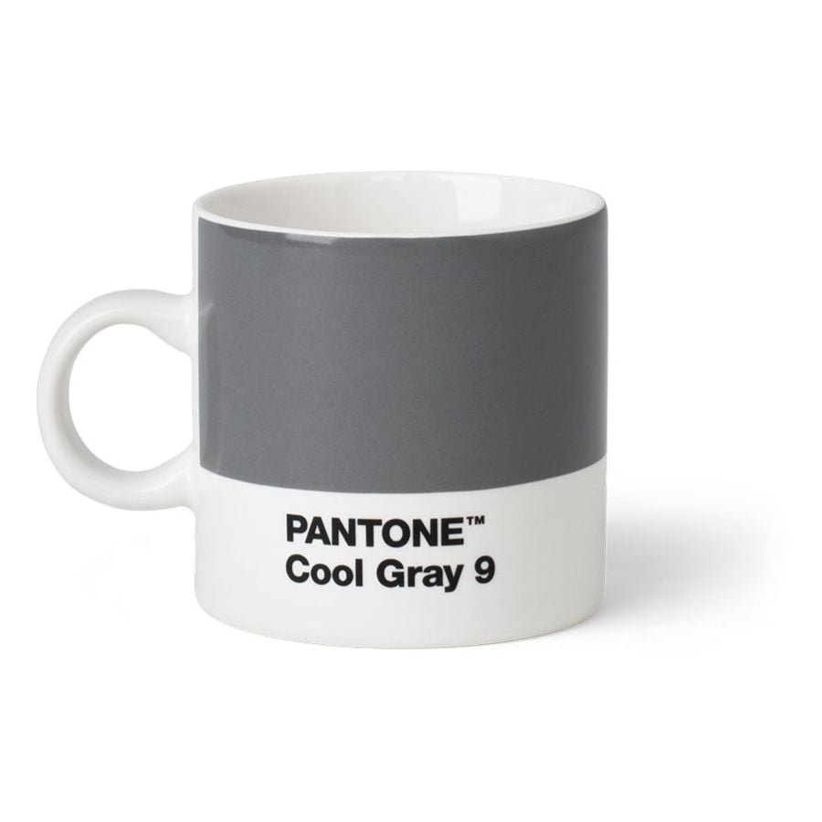 Pantone Espresso Cup, gris froid 9