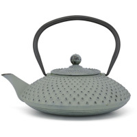 Bredemeijer Xilin Cast Iron Teapot 1,25 l, Light Green
