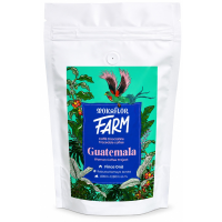 Mokaflor FARM Guatemala Onà 250 g in beans