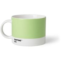 Pantone Tea Cup, vert clair 578