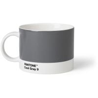 Pantone Tea Cup, gris froid 9