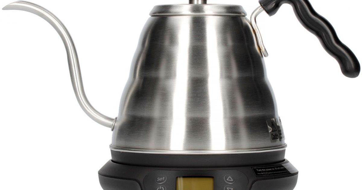 Hario kettle with temperature controller Buono Pro electric 0.8 l