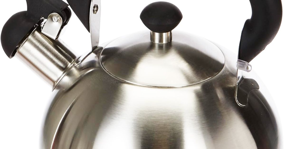 Ibili Fluitketel RVS – 1,5 of 2,5 Liter – Geschikt voor Inductie