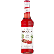 Monin Spicy Syrup 700 ml