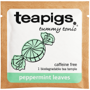 Teapigs Peppermint Leaves, doos met 50 theezakjes